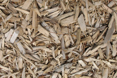 biomass boilers Rechullin